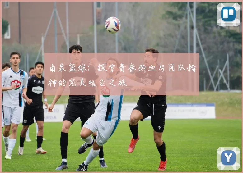 南泉篮球：探索青春热血与团队精神的完美结合之旅