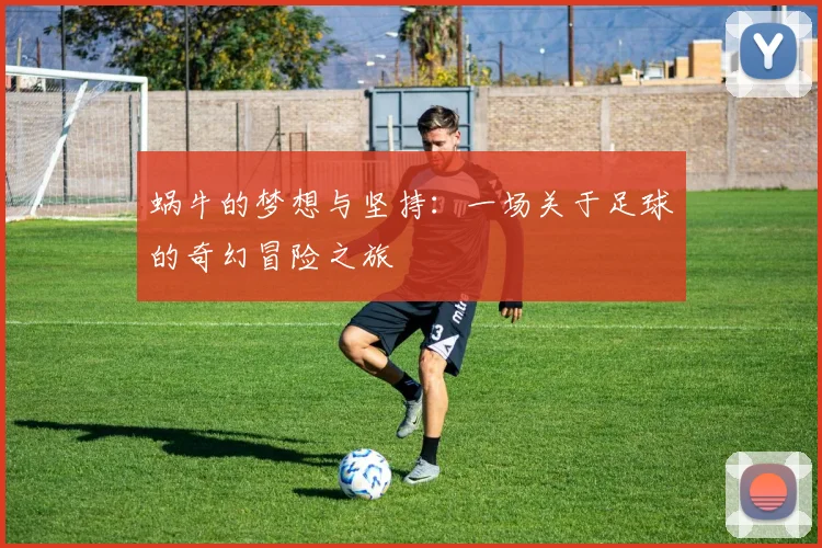 蜗牛的梦想与坚持：一场关于足球的奇幻冒险之旅