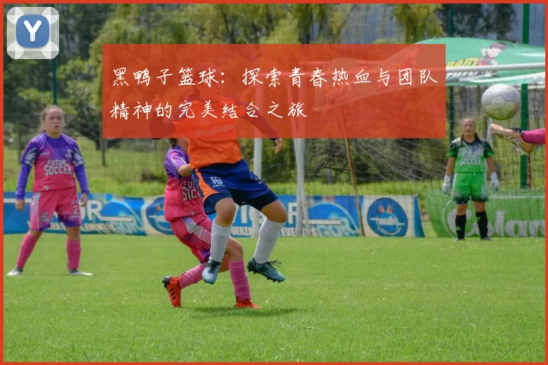 黑鸭子篮球：探索青春热血与团队精神的完美结合之旅