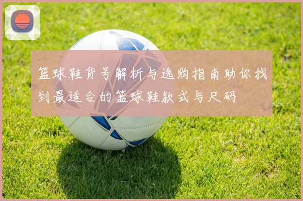 篮球鞋货号解析与选购指南助你找到最适合的篮球鞋款式与尺码