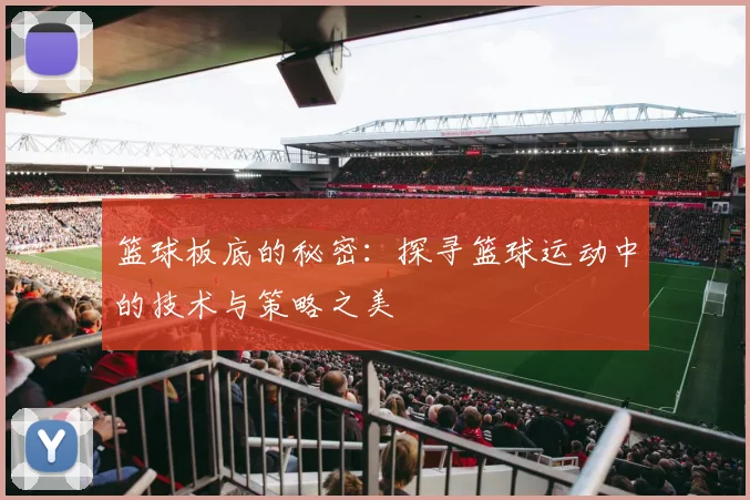 篮球板底的秘密：探寻篮球运动中的技术与策略之美