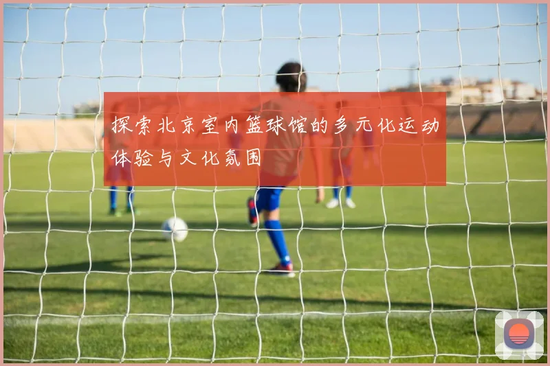 探索北京室内篮球馆的多元化运动体验与文化氛围
