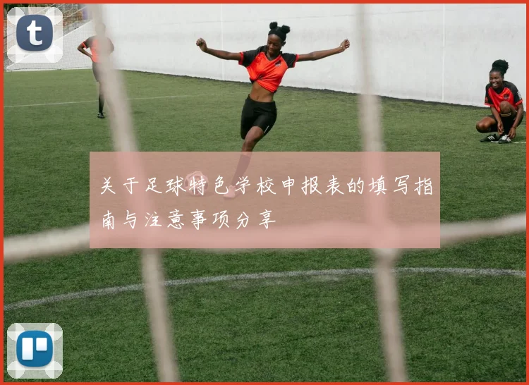 关于足球特色学校申报表的填写指南与注意事项分享