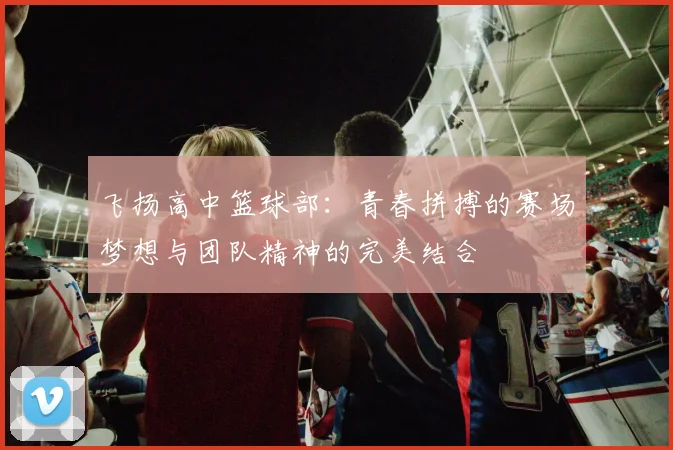飞扬高中篮球部：青春拼搏的赛场梦想与团队精神的完美结合