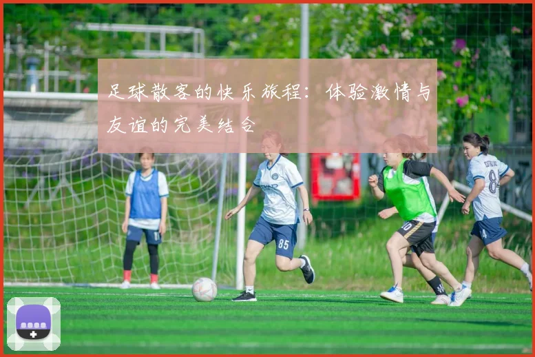 足球散客的快乐旅程：体验激情与友谊的完美结合